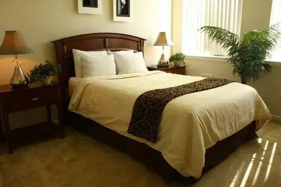 photo 1 of 550 Moreland 2806 Ultra Deluxe 2 2 in Santa Clara by RedAwning