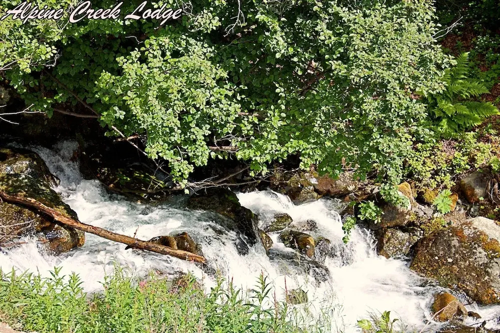 photo 1 of Alpine Creek Lodge