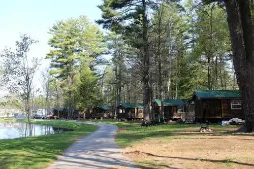 photo 1 of Alpine Lake Lakefront Cabin 6