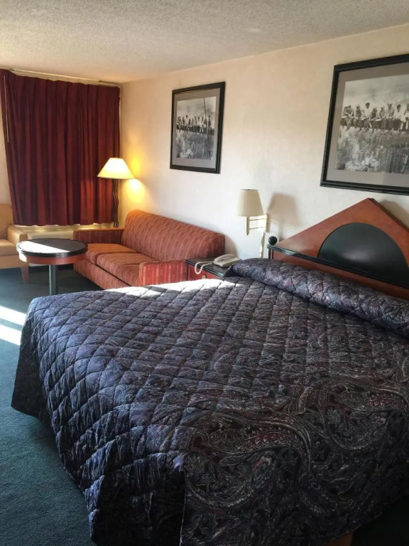 photo 1 of Shelaine Inn