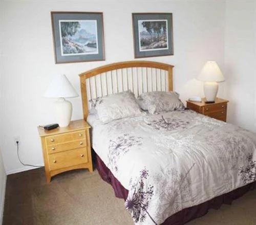 photo 1 of American Vacation Homes
