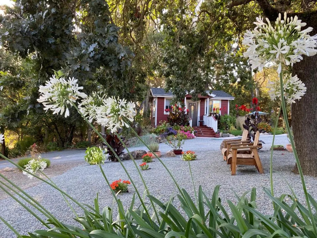 photo 1 of Amitabha Wine Country Cottage