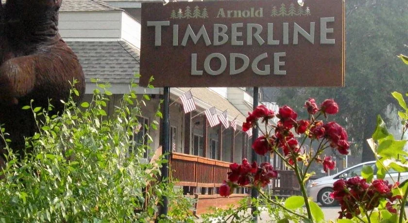 photo 1 of Timberline Lodge - Arnold - Bear Valley