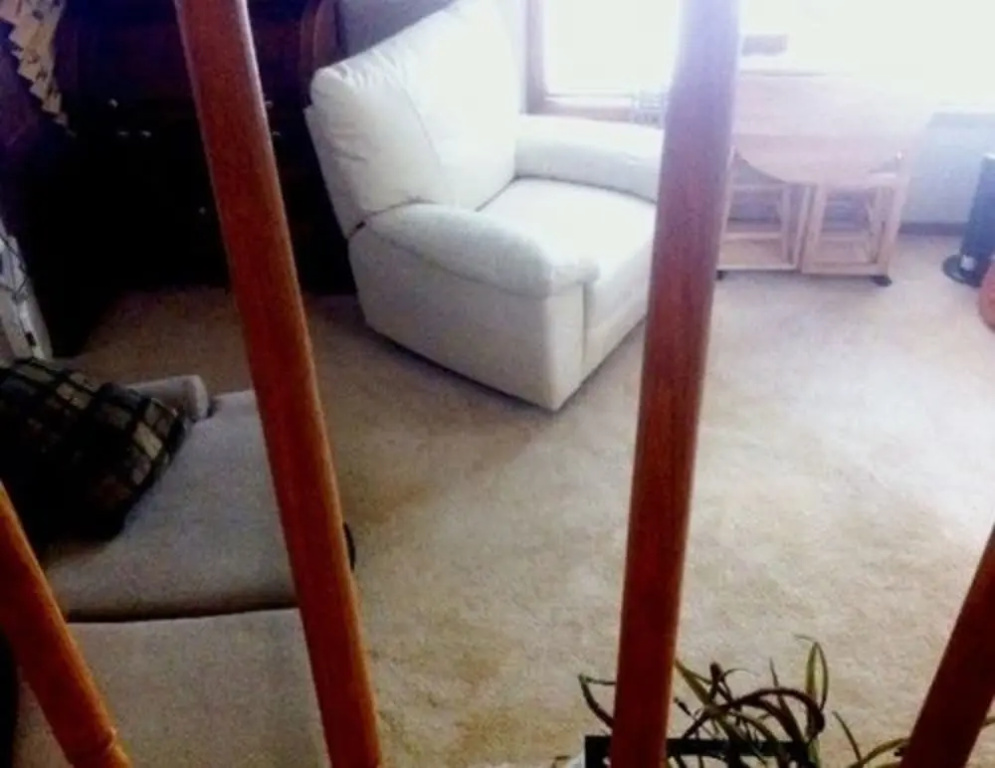 photo 1 of Aunt Louise's Secret