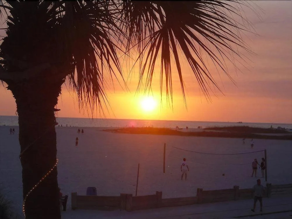 photo 1 of Beach Palms