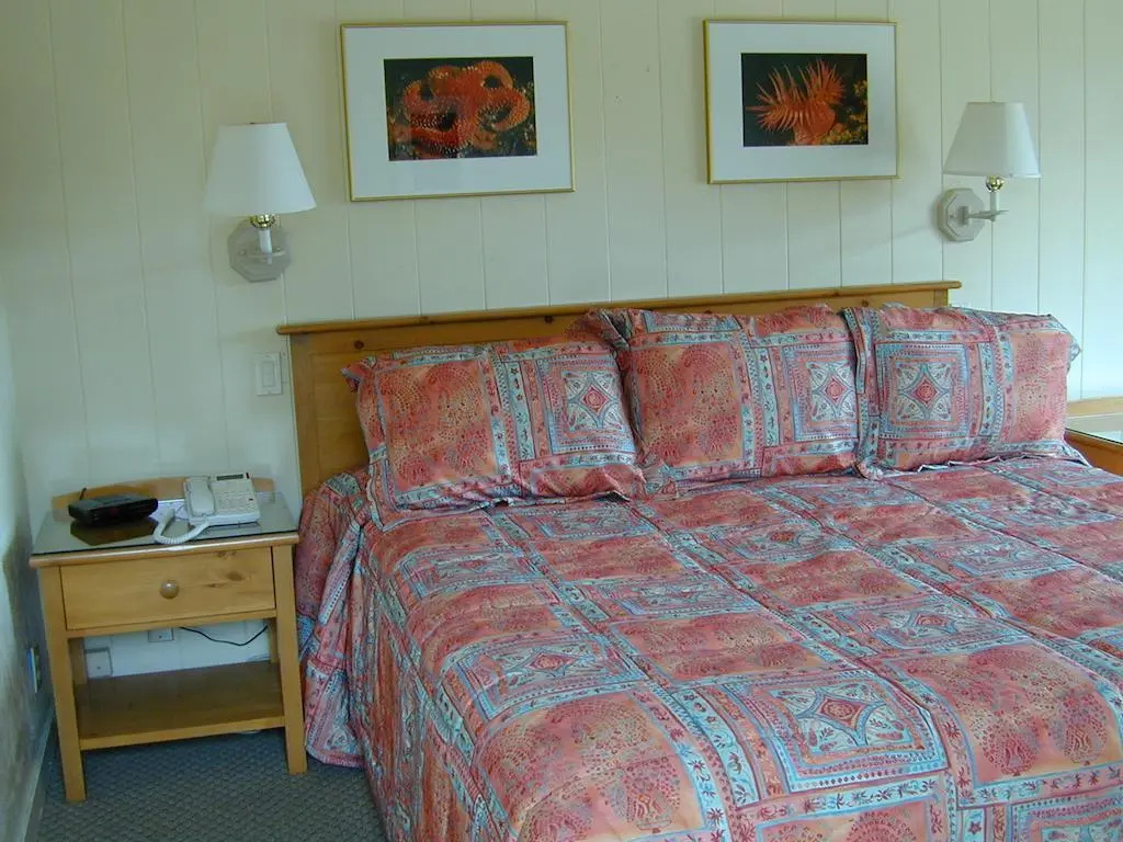 photo 1 of Beachcomber Inn