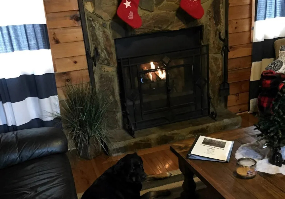 photo 1 of Bear Hug Lodge