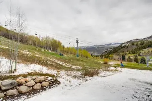 photo 1 of Beaver Creek Borders 203U
