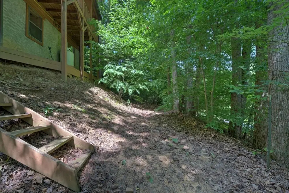 photo 1 of Black Bear Cabin - 2 Br Cabin