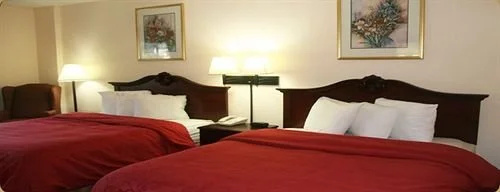 photo 1 of Budget Inn