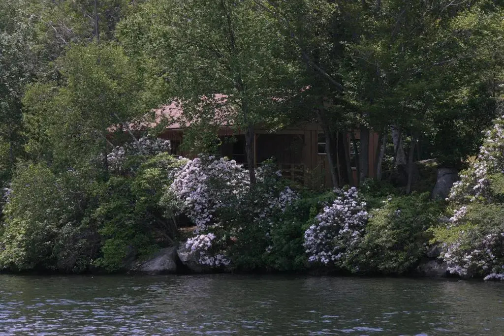 photo 1 of Cabin Deck House - Formidable Cabin in Laurel Island