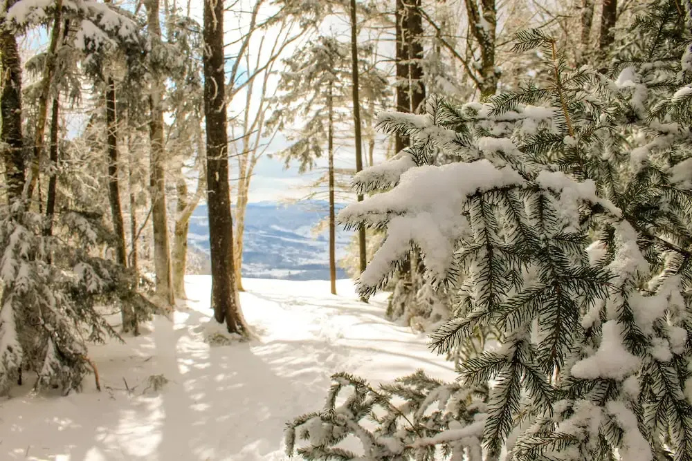 photo 1 of Canaan Valley Resort State Park