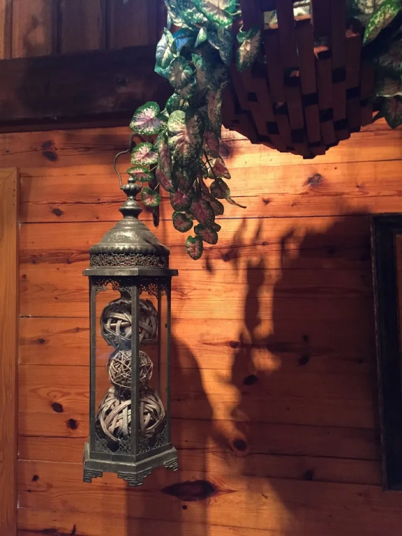 photo 1 of Cherokee mountain log cabin resort