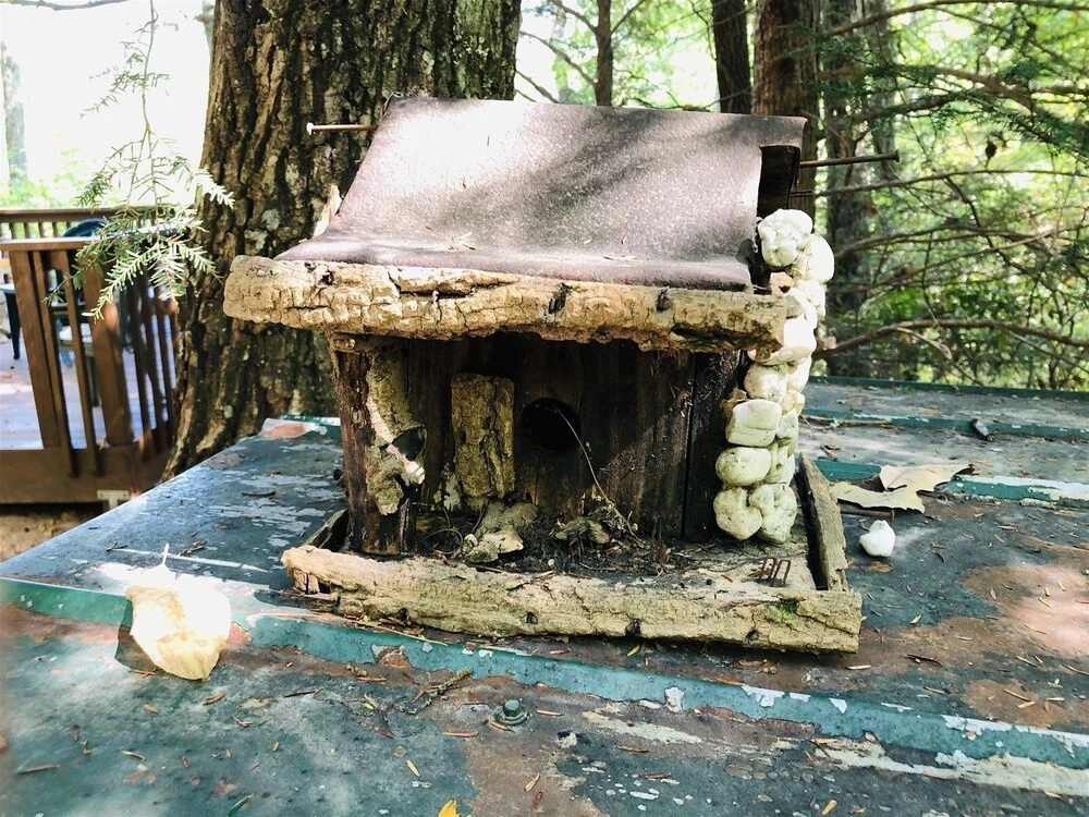 photo 1 of Cherokee Point Cabin