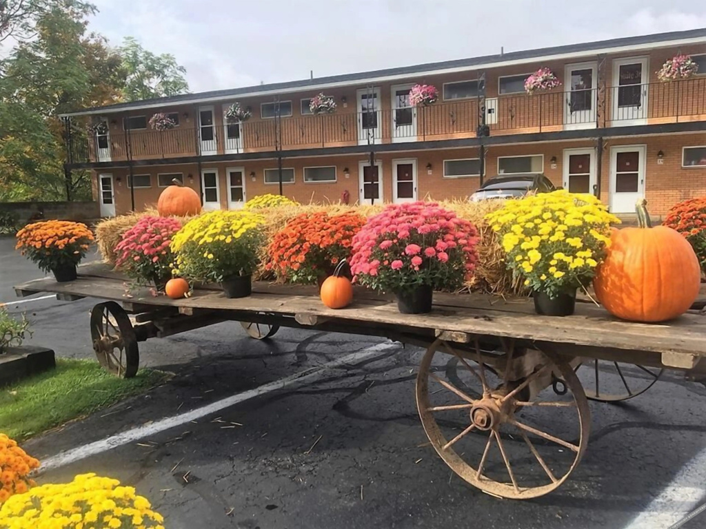 photo 1 of Cianci's Motel and Suites