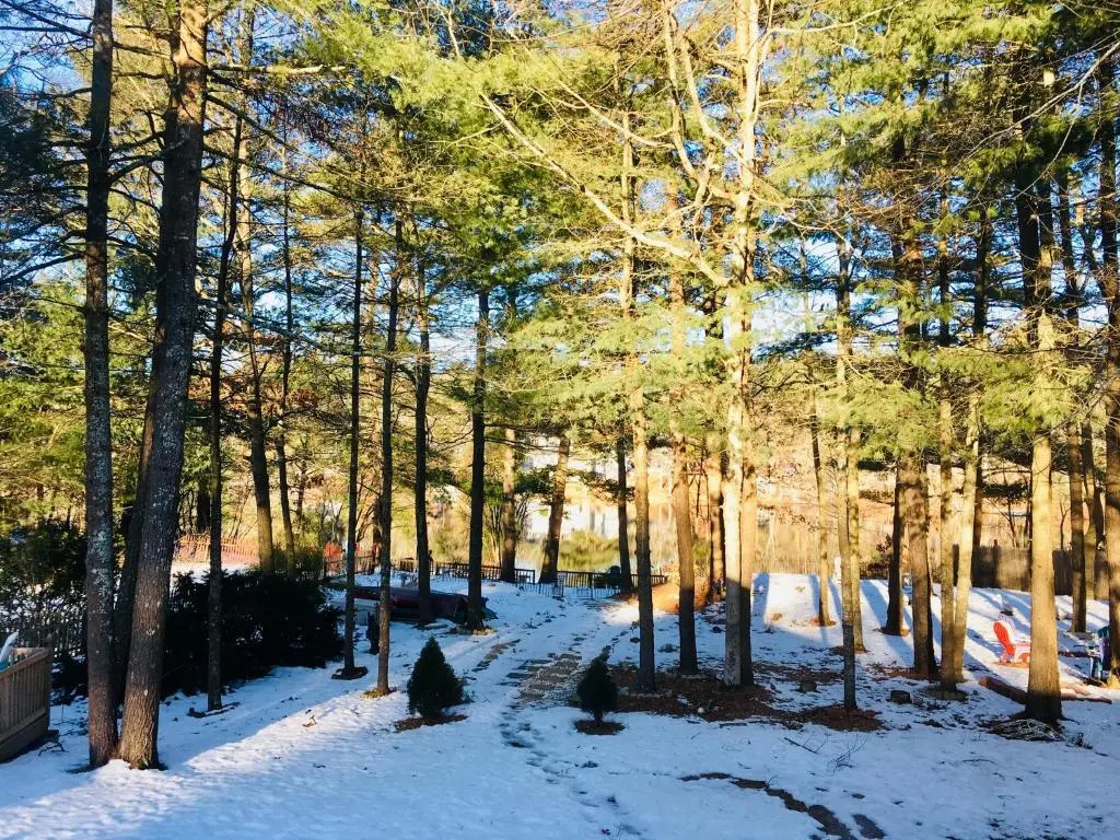 photo 1 of Clear Pond Getaway