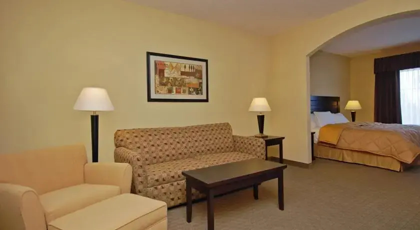 photo 1 of Comfort Inn & Suites Downtown