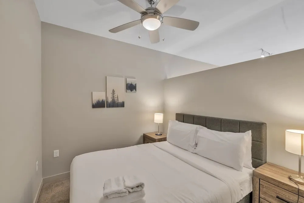 photo 1 of Comfortable 1BD Vector Suite With 95 Walkscore