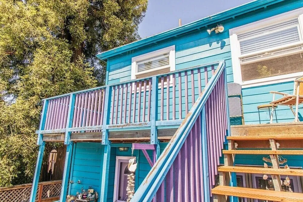 photo 1 of Cozy and Convenient 1bd in Alameda