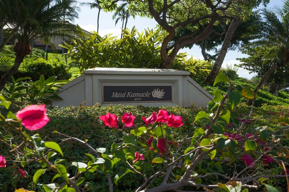 photo 1 of Maui Kamaole