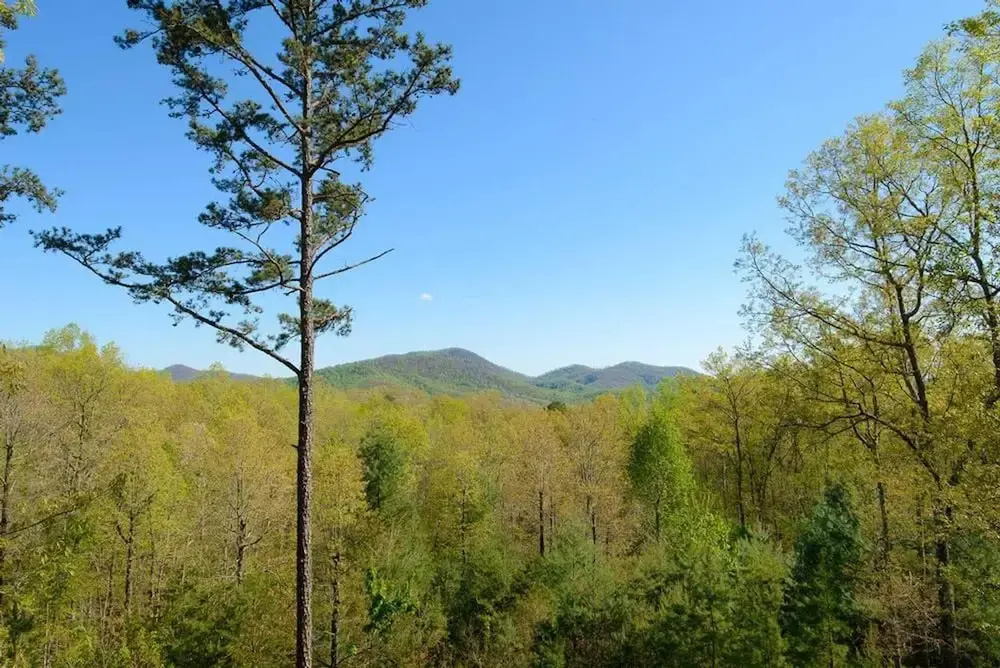 photo 1 of Daze Off by Escape to Blue Ridge