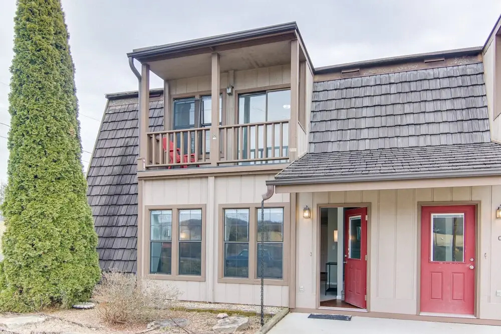 photo 1 of Dog-friendly Mills River Townhome: Fire Pit, Yard!