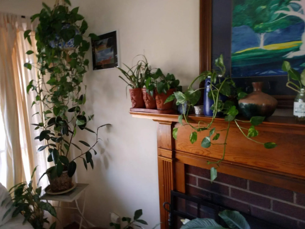 photo 1 of Fairhaven Guesthouse