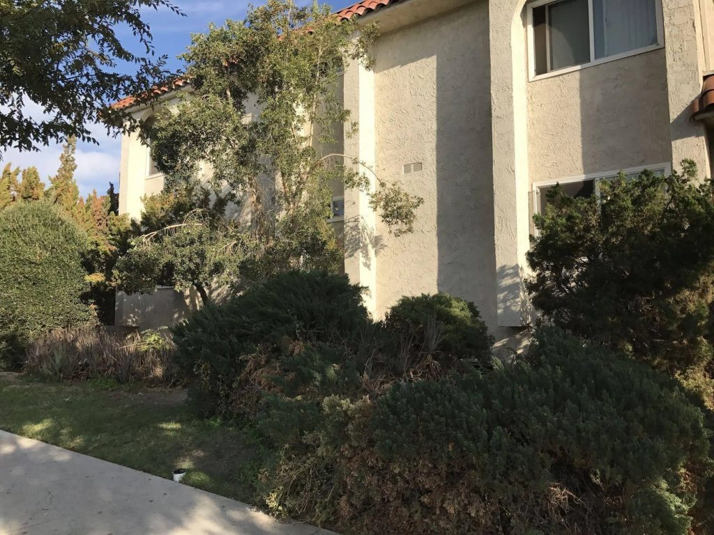 photo 1 of Glendale Apartment