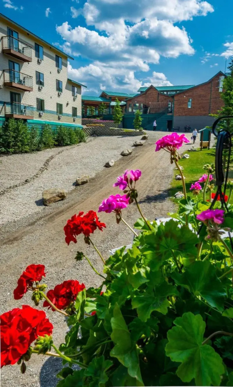 photo 1 of Grande Denali Lodge
