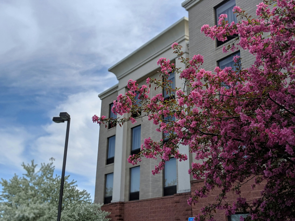 photo 1 of Hampton Inn & Suites Cincinnati-Union Center