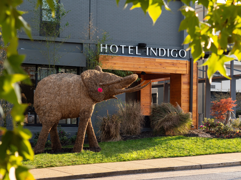photo 1 of Hotel Indigo Chattanooga - Downtown by IHG