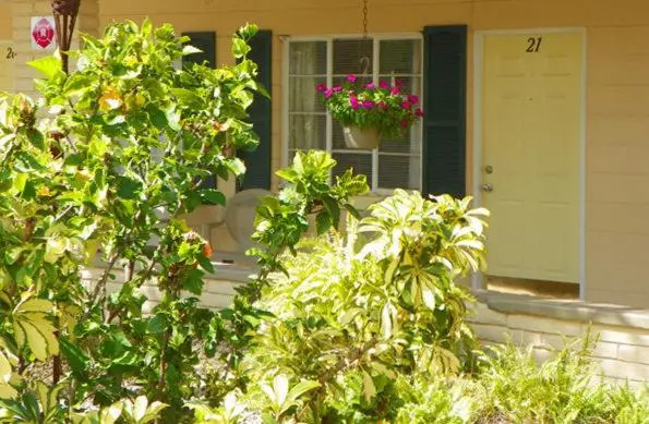 photo 1 of Island Breeze Inn