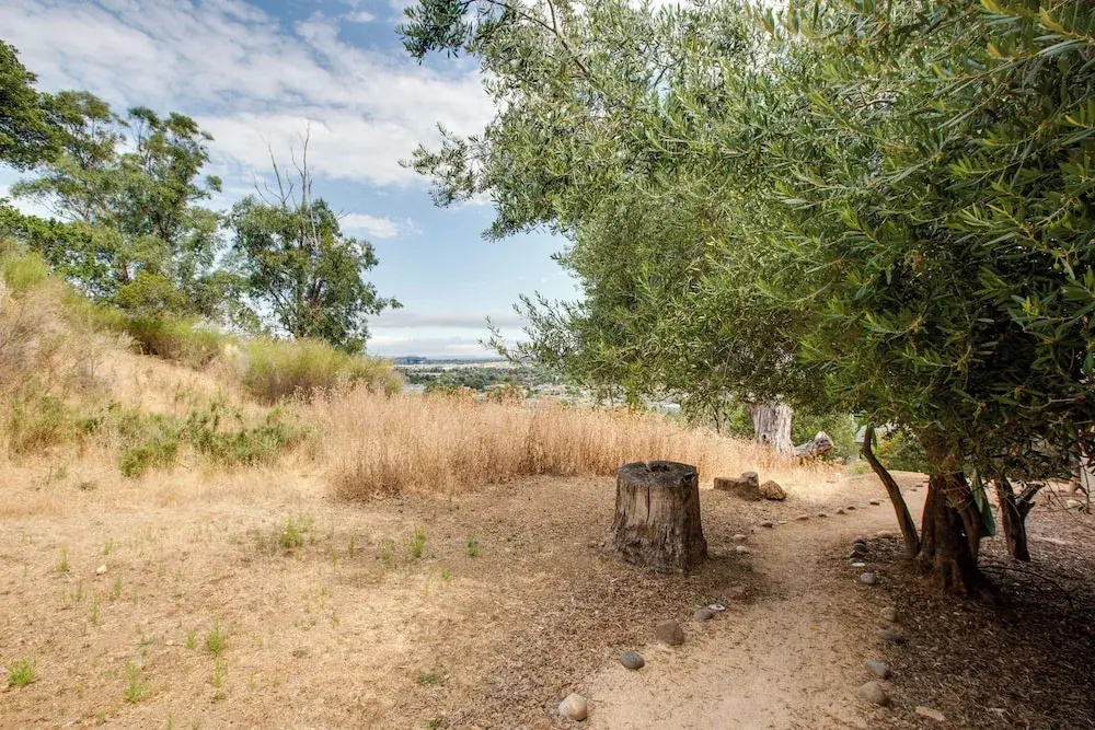 photo 1 of Lovely Belmont Apartment w/ Stunning Views!