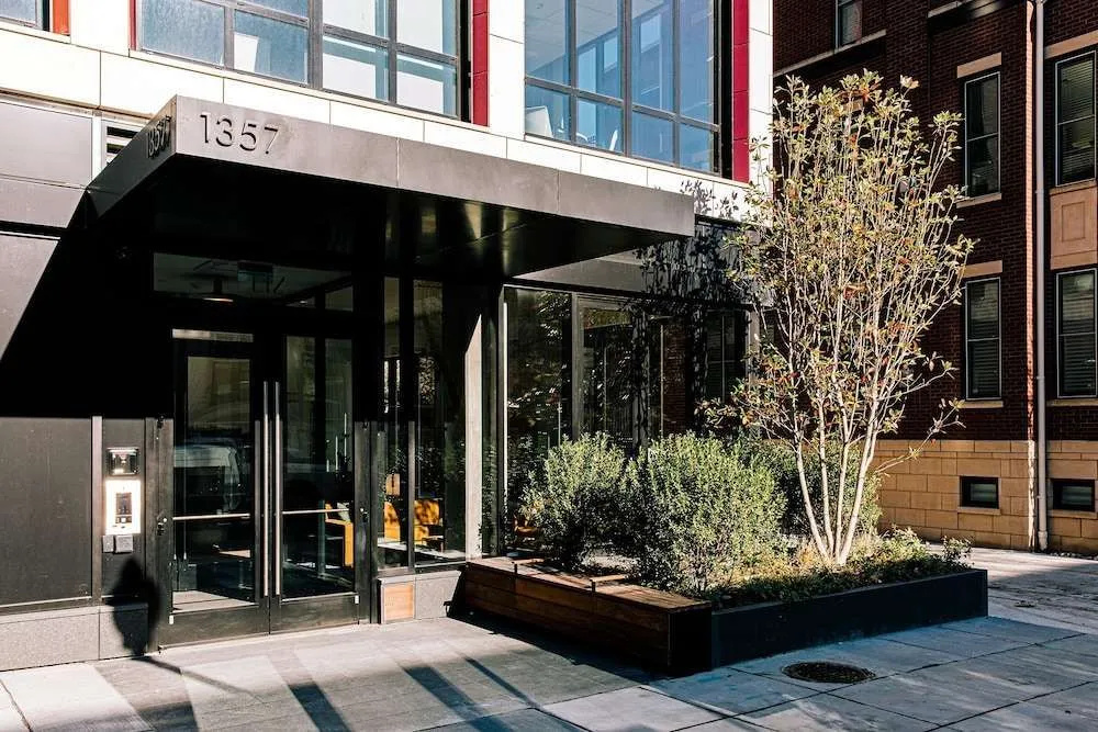 photo 1 of BLACK SWAN - Liz DC - Executive Flat