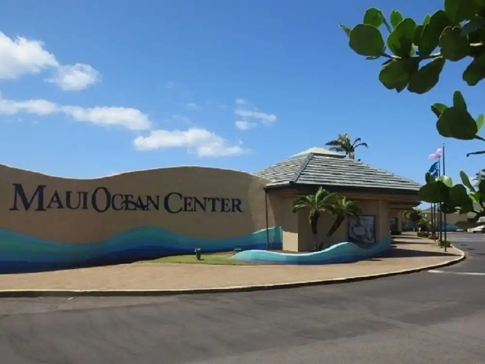 photo 1 of Maalaea Kai 316 1 Bedroom Condo by RedAwning