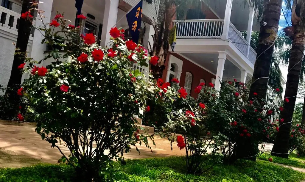 photo 1 of Magazine Mansion