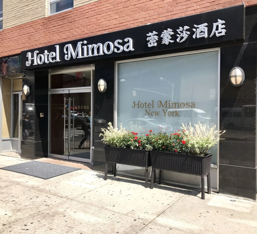 photo 1 of Hotel Mimosa
