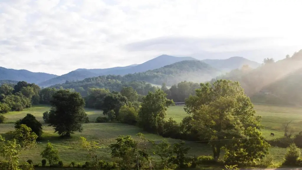 photo 1 of Modern Glass Bungalow with the best views in Asheville