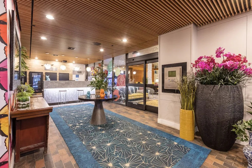 photo 1 of Motor City Suites by Barsala