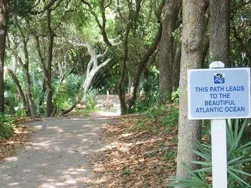 photo 1 of Ocean Vacation Rentals New Smyrna Beach