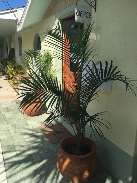 photo 1 of Palm Tree Villas