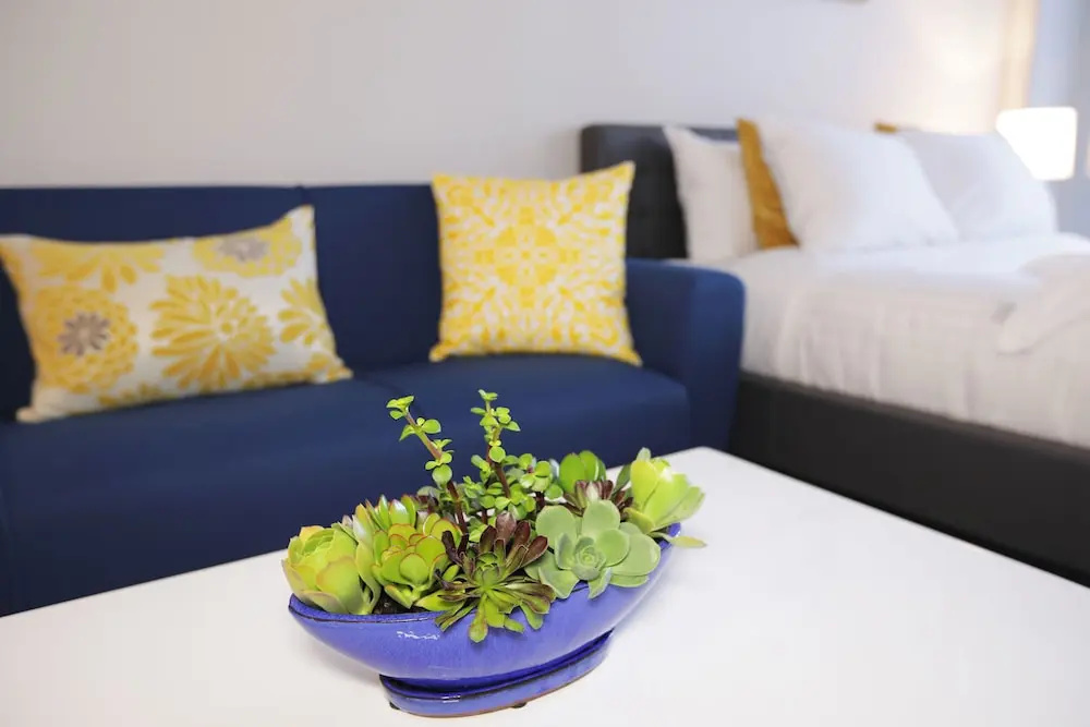 photo 1 of Panoramic View Suites