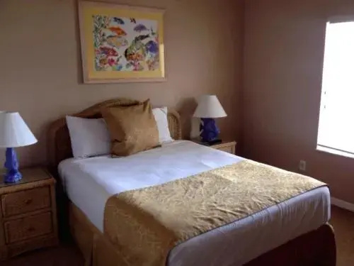 photo 1 of Paradise Parade Apartament