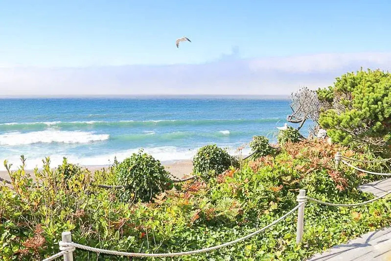 photo 1 of Pearl By The Sea