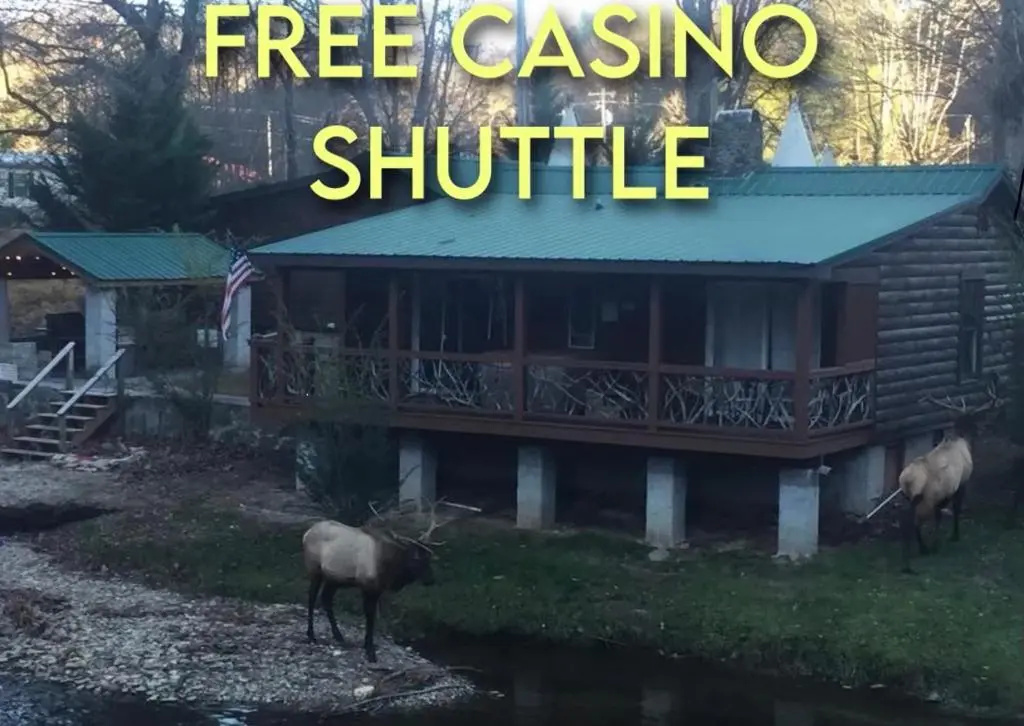 photo 1 of Qualla Cabins and Motel Cherokee near Casino