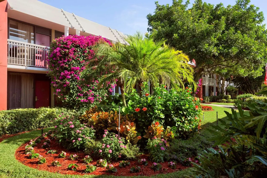 photo 1 of Collins Hotel Naples