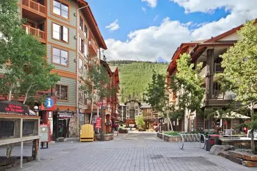 photo 1 of Copper One Lodge A