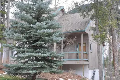 photo 1 of Steps Away from the Vail Ski Bus