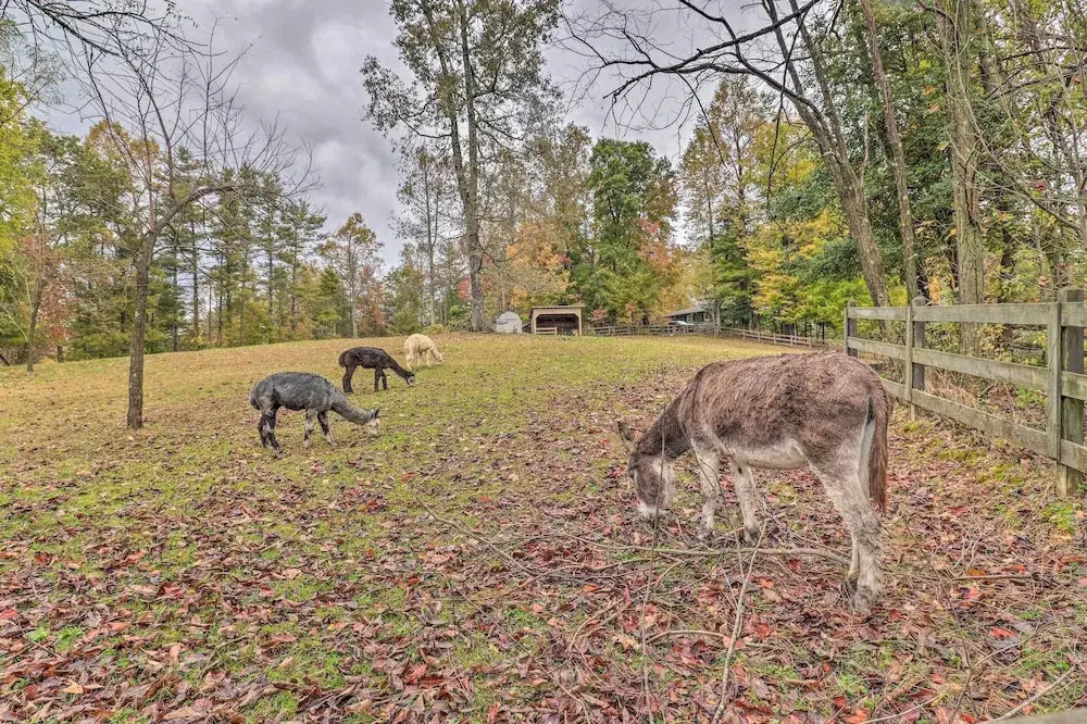 photo 1 of Rustic Hendersonville Farm Studio w/ Private Deck