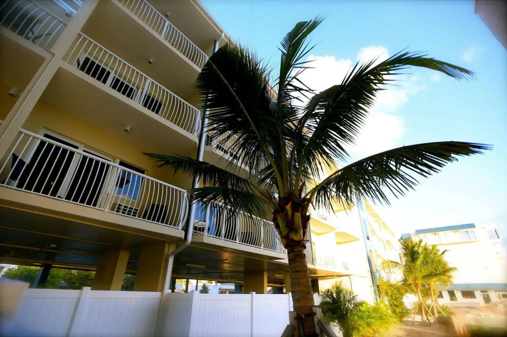photo 1 of Shoreline Island Resort - Exclusively Adult